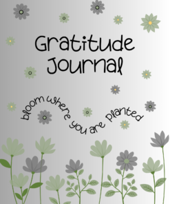 Gratitude Journal A